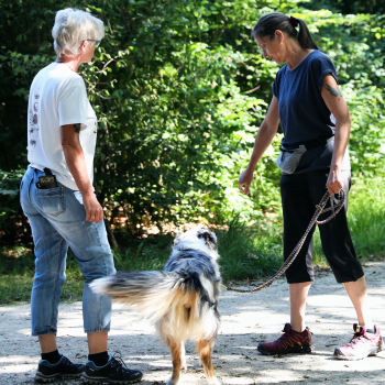 2H9A4202-10 2H9A4202-10