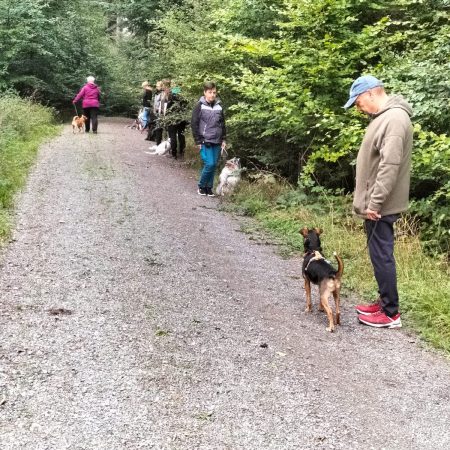 IMG-20220924-WA0015 IMG-20220924-WA0015