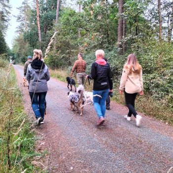 IMG-20220924-WA0020 IMG-20220924-WA0020