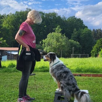 WhatsApp Image 2024-06-05 at 21.33.48 WhatsApp Image 2024-06-05 at 21.33.48